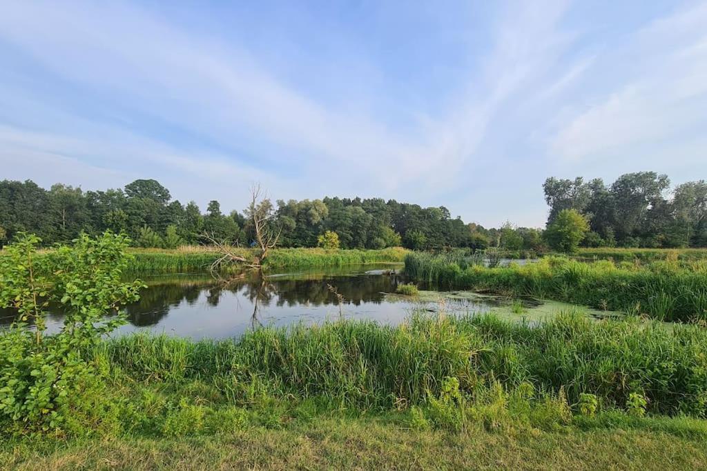 הוילה Drozdowo Dom Male Mazury מראה חיצוני תמונה